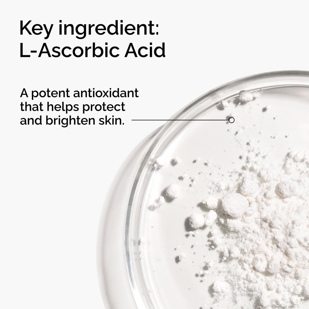 100-l-ascorbic-acid-powder-l8 FY25-D41247-ORD-Web-PDP-100-LAscb-Pwd-1x1-EN-2a.jpg