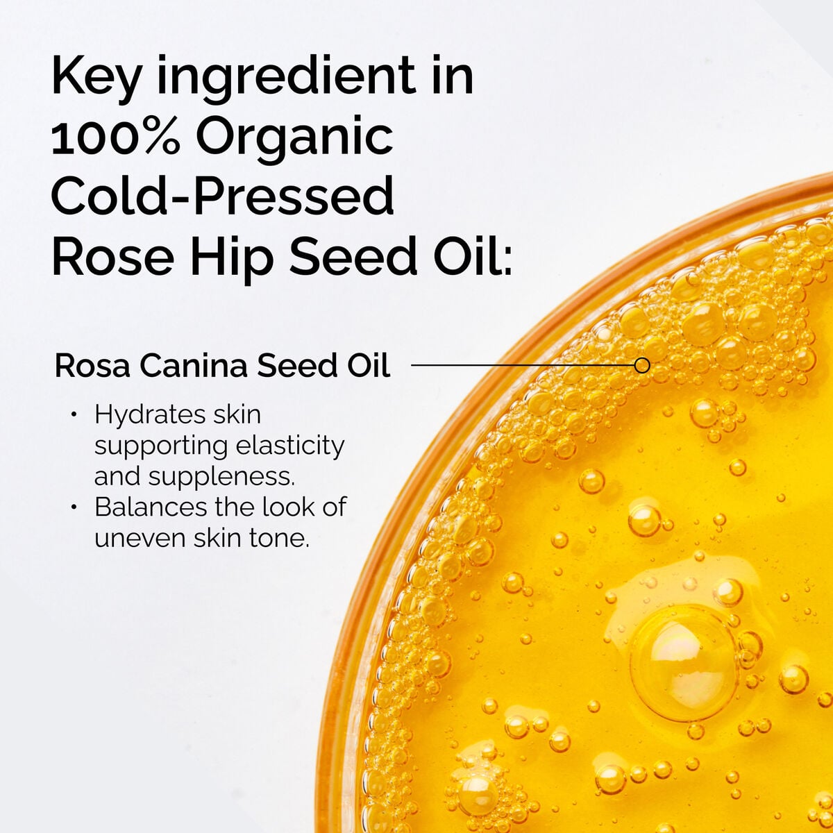 100-organic-cold-pressed-rose-hip-seed-oil-l8 FY25-D41247-ORD-Web-PDP-100-Rose-Hip-Oil-1x1-EN-2.jpg