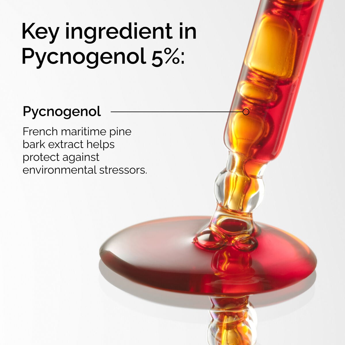 pycnogenol-5-s9 FY25-D41247-ORD-Web-PDP-Pyc-5pct-1x1-EN-2a.jpg