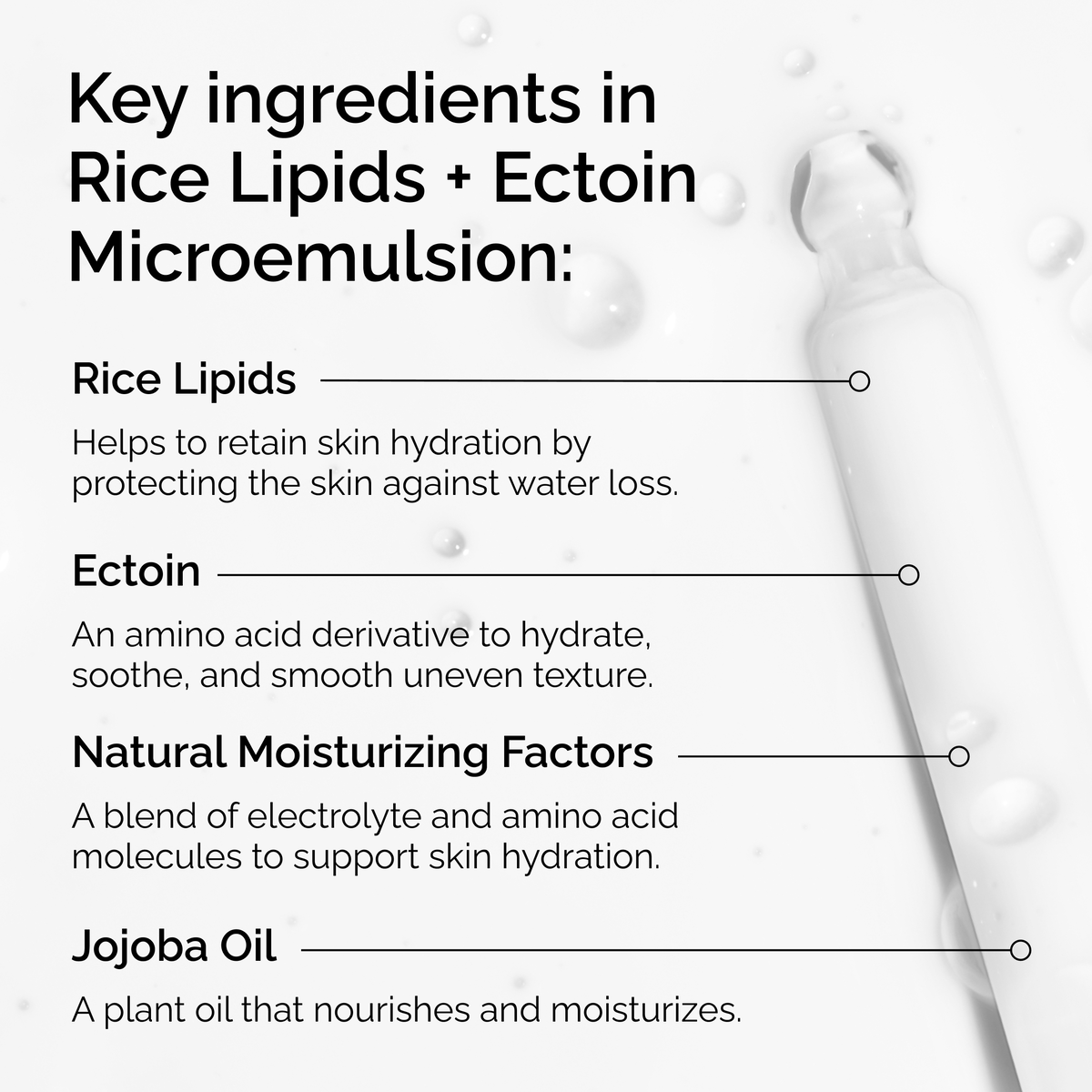 rice-lipids-ectoin-microemulsion-s5 ord-rice-lipids-ectoin-microemulsion-key-ingredients.png