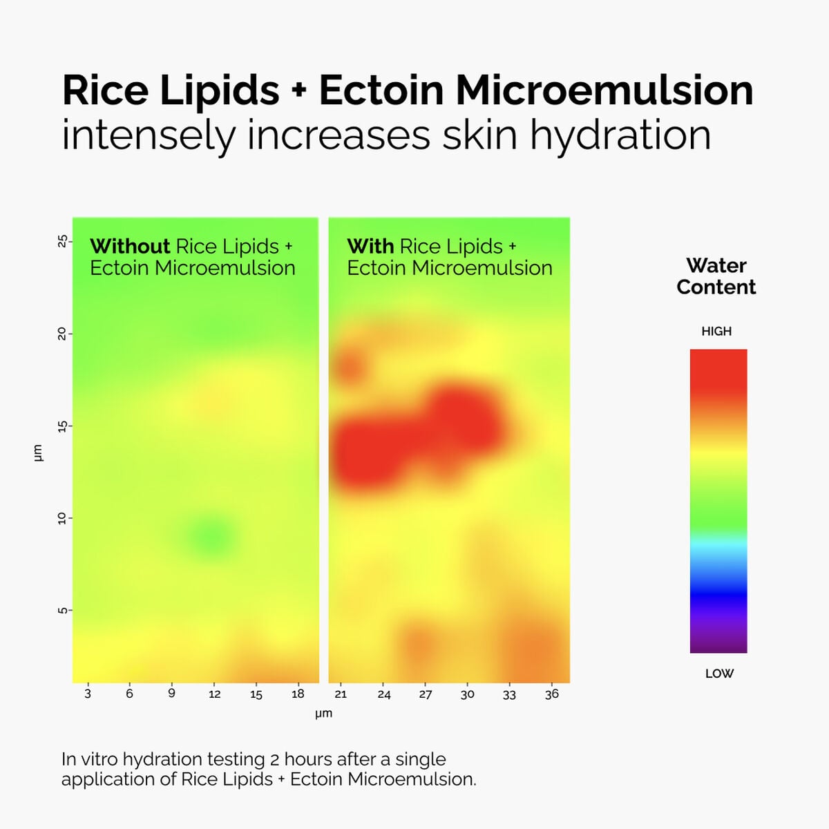 rice-lipids-ectoin-microemulsion-s5 ord-rice-lipids-ectoin-microemulsion-thermal-before-after.jpg